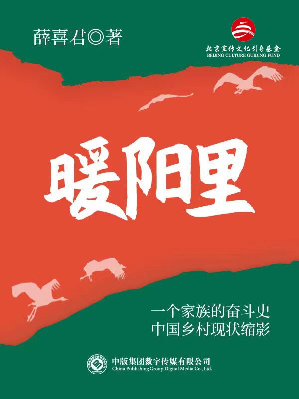 暖阳里