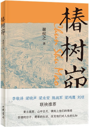 走过椿树峁