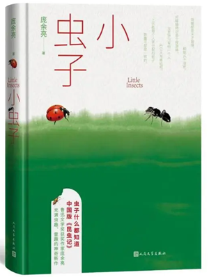 在自然的烛照下，那些人生中微妙的撒野光阴